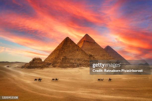 great pyramids and the camel caravan is in front of the egyptian pyramids, giza, egypt - piramide foto e immagini stock