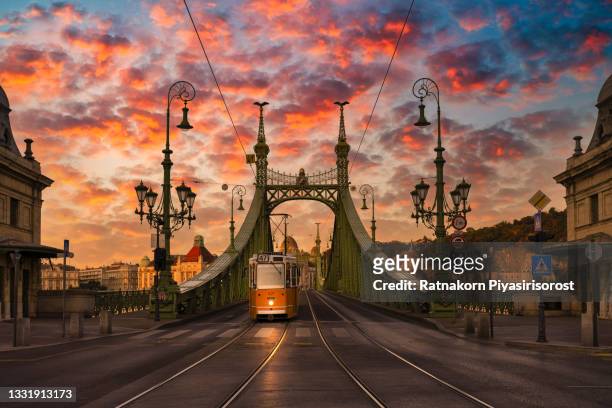 yellow tram just crossed the danube river over the liberty bridge at beautiful sunrise in budapest - budapest stock-fotos und bilder