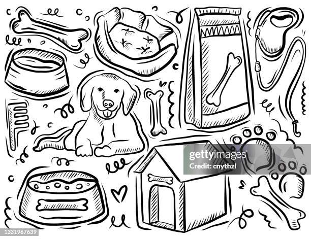 pet shop related cartoon doodle illustration. hand drawn vector - pet lead stock illustrations