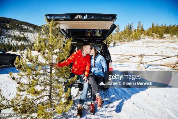 Wide shot of couple kissing on tailgate of car holding freshly cut Christmas tree on winter afternoon