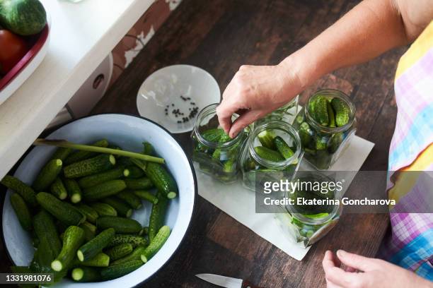 a woman at home makes pickles from cucumbers. - pickle - fotografias e filmes do acervo
