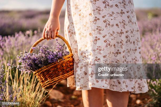 hand of a woman holding a basket full of lavender flowers - dress stock pictures, royalty-free photos & images