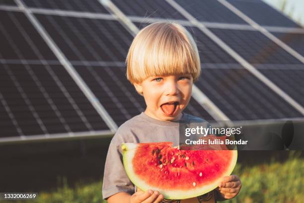 small boy with watermelon - alleen jongens stockfoto's en -beelden