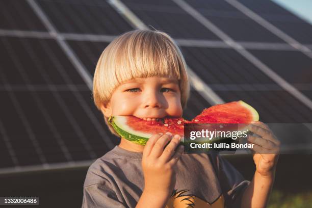 small boy with watermelon - child eating juicy stock pictures, royalty-free photos & images