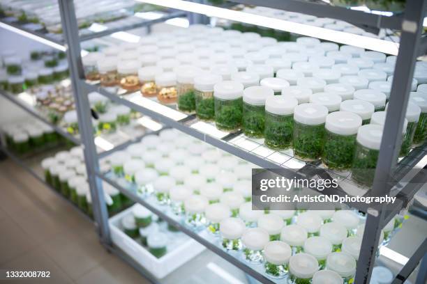 Intermediate Botany Lab 72 Botany Plant Reproduction Laboratory Stock Photos, High-Res Pictures ...