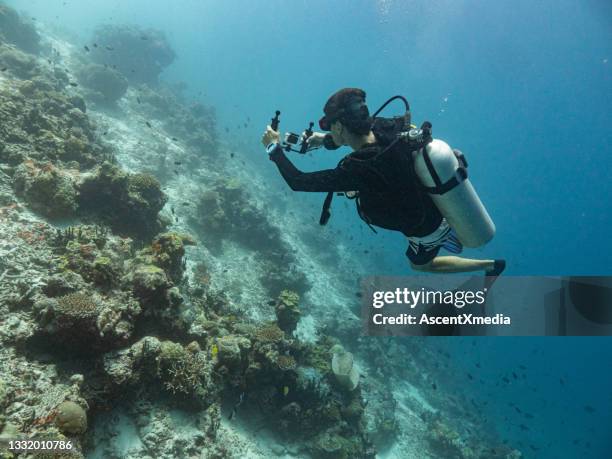 ansicht des tauchers, der das meeresleben mit einer unterwasserkamera filmt - underwater film camera stock-fotos und bilder