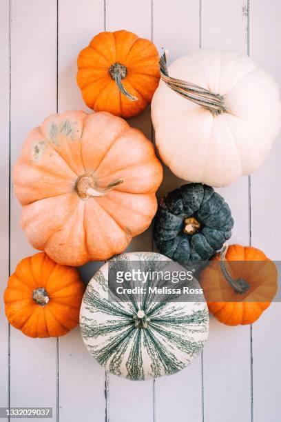 colorful pumpkins and gourds - pumpkin harvest 個照片及圖片檔