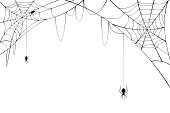 Black spiders with torn web. Scary spider web for Halloween.