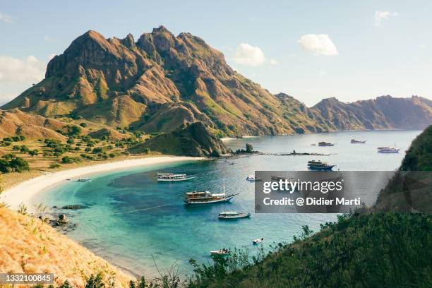 phinisi boats anchored by the padar island in komodo, indonesia - komodo island stock pictures, royalty-free photos & images