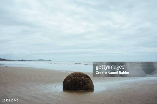 lonely boulder on moeraki beach, south island, new zealand - palmerston north new zealand stock-fotos und bilder