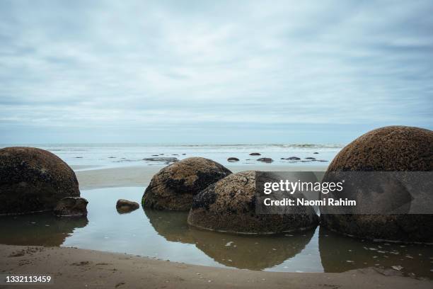 moeraki boulders beach in new zealand - palmerston north nieuw zeeland stockfoto's en -beelden