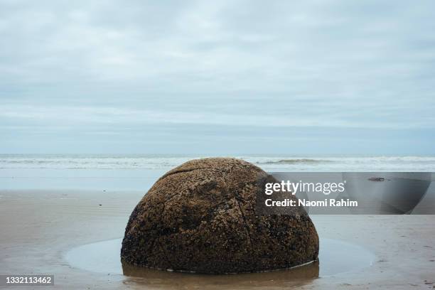 one solitary boulder on moeraki beach, south island, new zealand - palmerston north nz bildbanksfoton och bilder