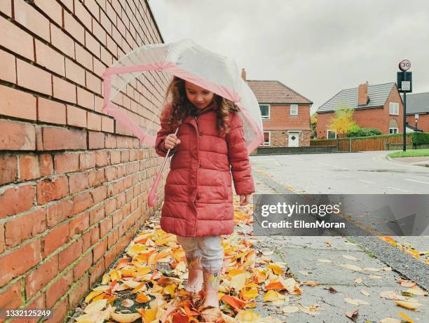 rainy autumn day - girl in shower stock pictures, royalty-free photos & images