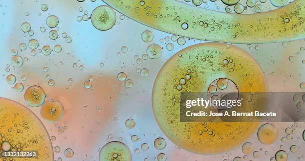 full frame of drops and bubbles of oil floating on liquid. - amoeba imagens e fotografias de stock