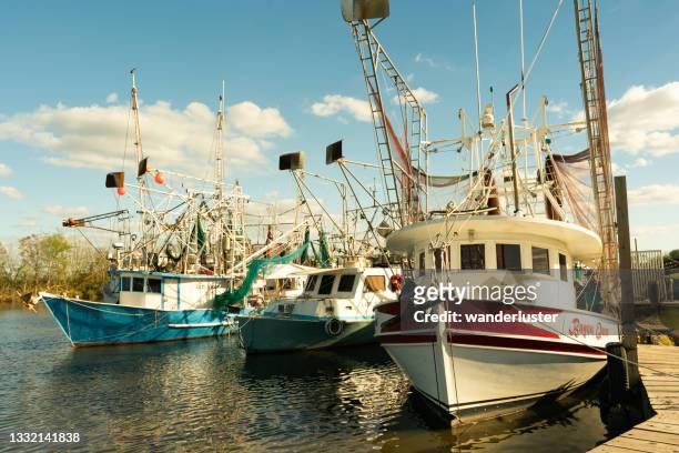shrimp boats in acadia, louisiana - shrimp boat stockfoto's en -beelden