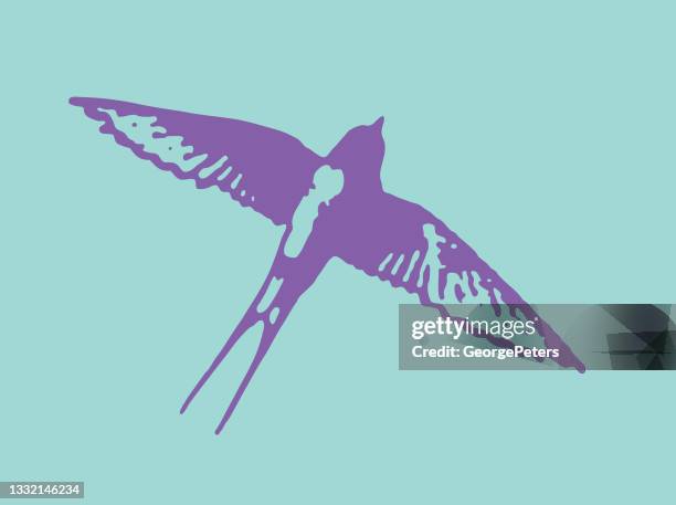 barn swallow in flight - purple martin stock illustrations