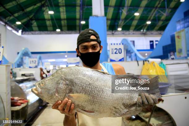 buying fish in salvador - frozen fish fillets stockfoto's en -beelden