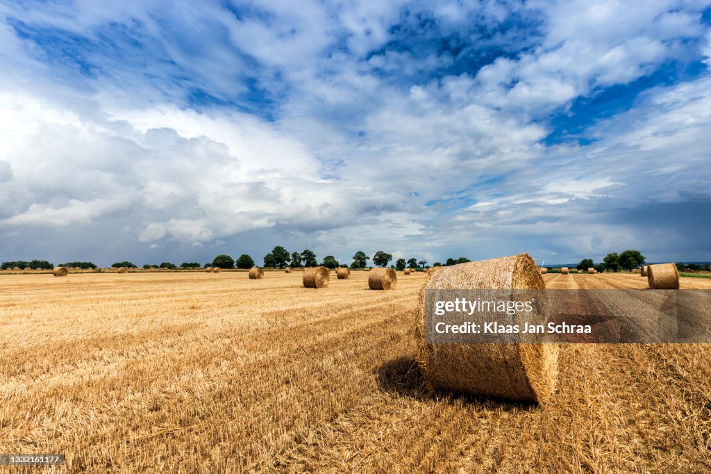 Veld met hooibalen na de oogst in de zomer
