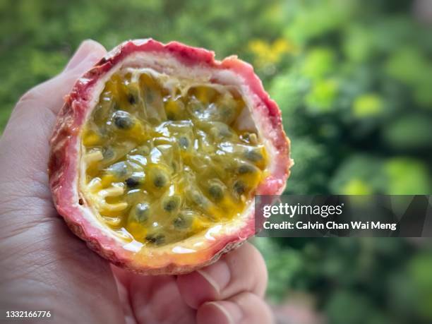 freshly cut organic passion fruit - citron stock pictures, royalty-free photos & images