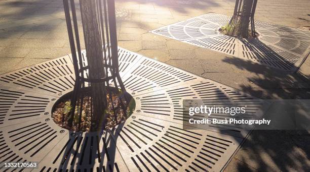 tree grate made of cast iron on urban sidewalk pavement in potsdam, germany - sarjeta - fotografias e filmes do acervo