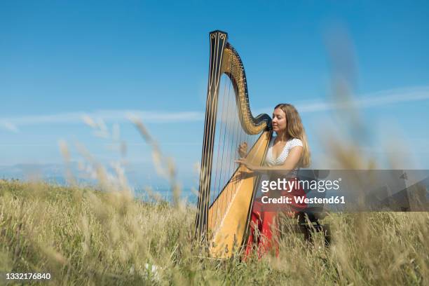 young female musician practicing harp in meadow during sunny day - arpa fotografías e imágenes de stock