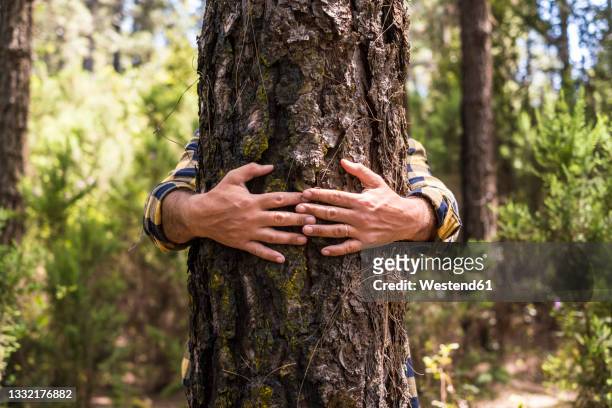 man's hand embracing tree trunk in forest - tree hugging stock pictures, royalty-free photos & images