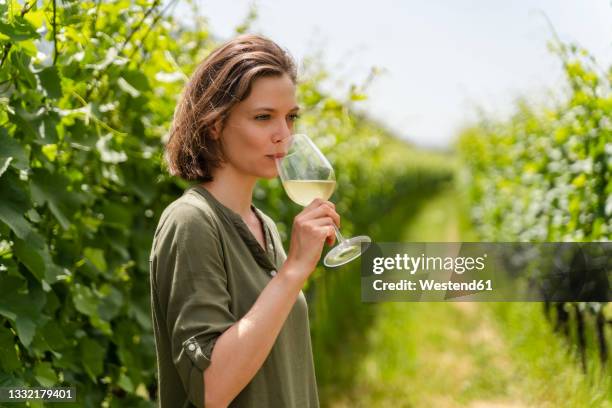 woman drinking white wine while standing at vineyard - vineyard fotografías e imágenes de stock