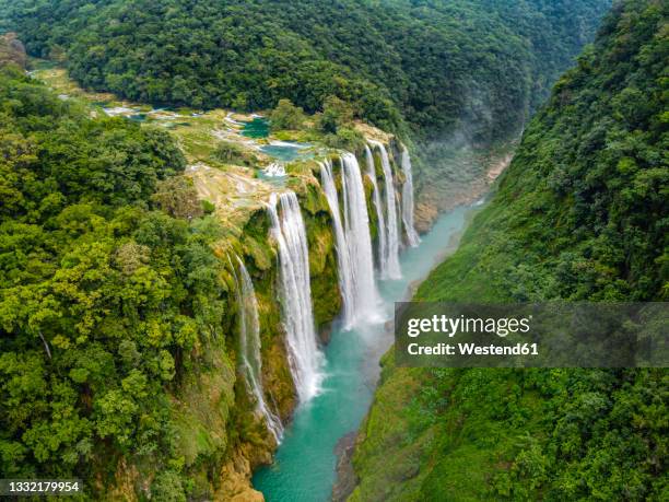 cascada de tamul waterfalls in forest, huasteca potosi, mexico - tamul waterfall stock pictures, royalty-free photos & images