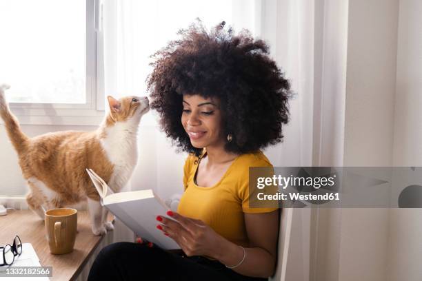 cat looking at female freelancer hair while reading book at home office - cat drinking stock-fotos und bilder