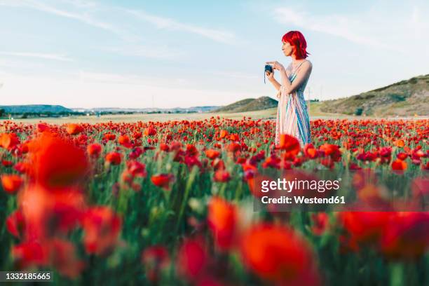 redheaded woman with camera standing at poppy field - stehmohn stock-fotos und bilder
