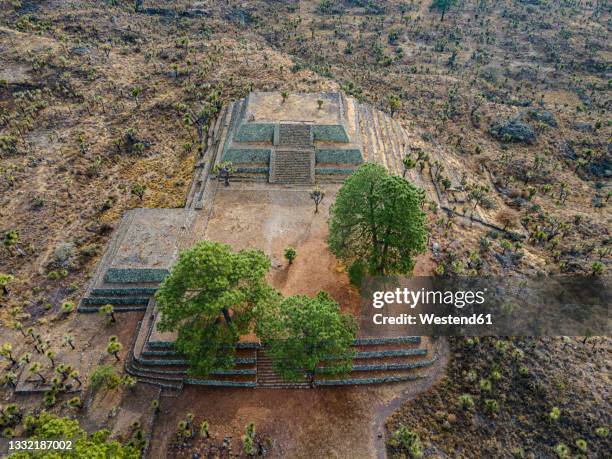 trees on old ruins at mesoamerica archaeological site, puebla, mexico - cantona stock pictures, royalty-free photos & images