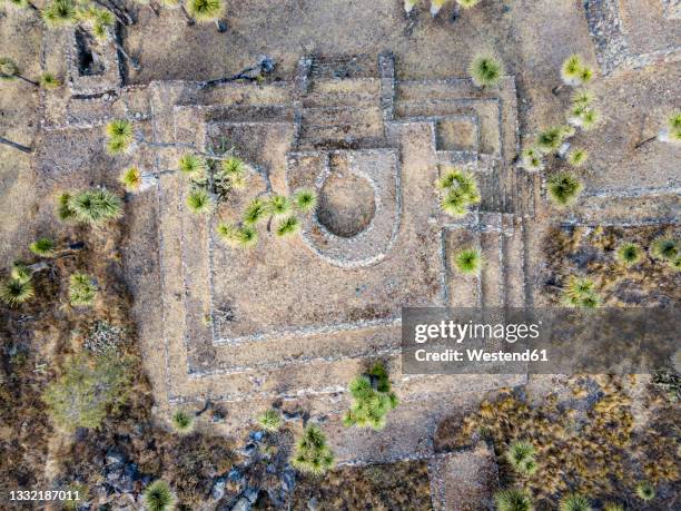 drone shot of trees on old ruins, puebla, mexico - cantona stock pictures, royalty-free photos & images