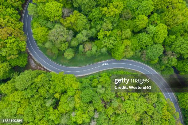 aerial view of asphalt road winding through green springtime forest - strada tortuosa foto e immagini stock