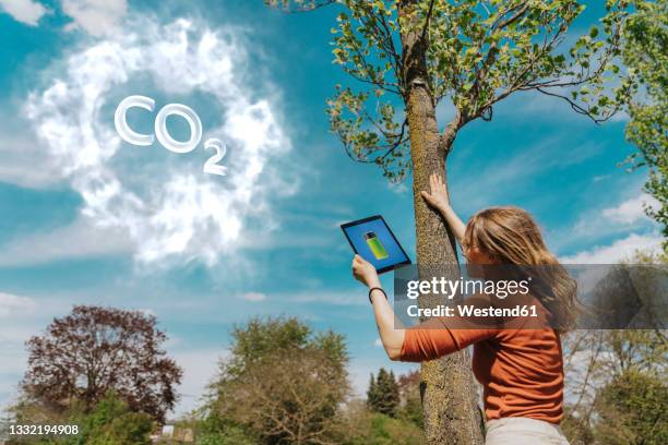 woman checking age of tree and stored co2 through digital tablet in park - greenhouse gas stock pictures, royalty-free photos & images