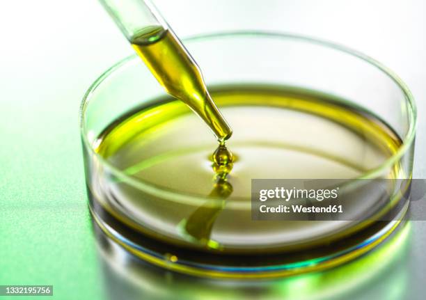 pipettingofcbdoil inpetridish - cannabidiol stock pictures, royalty-free photos & images