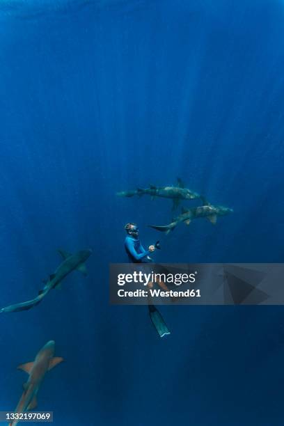 young man in wet suit snorkeling by nurse sharks undersea - kleine groep dieren stockfoto's en -beelden