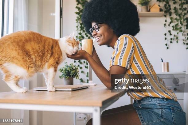 happy woman with coffee cup looking at cat on desk - pet owner fotografías e imágenes de stock