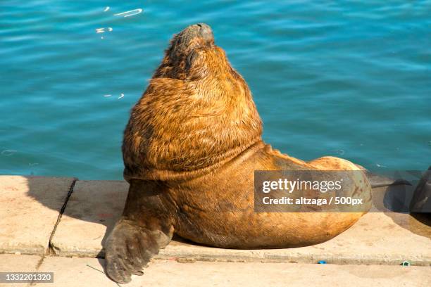 78 Altzaga Stock Photos, HighRes Pictures, and Images Getty Images