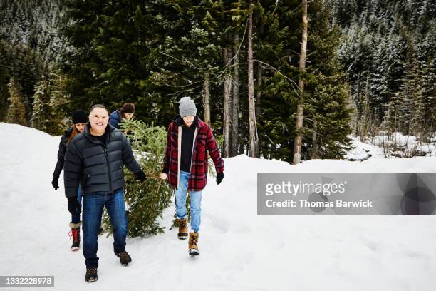 wide shot of family carrying freshly cut christmas tree though snow covered field on winter afternoon - drag christmas tree stock pictures, royalty-free photos & images