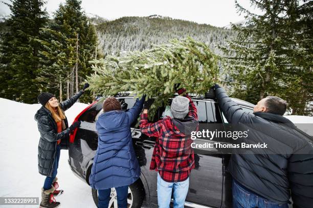 medium wide shot of family putting freshly cut christmas tree on roof of car on winter afternoon - christmas tree 50's stockfoto's en -beelden