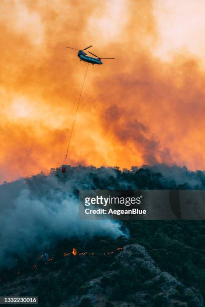 fire fighting helicopter responding to forest fire - levend organisme stockfoto's en -beelden