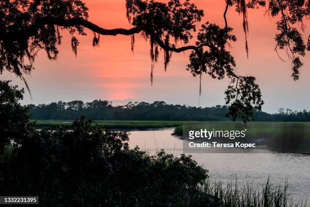 view over salt marsh at sunset - tidal marsh stock pictures, royalty-free photos & images