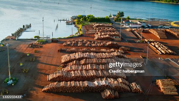 pilas de troncos en el puerto de olimpia - aéreo - olympia washington state fotografías e imágenes de stock