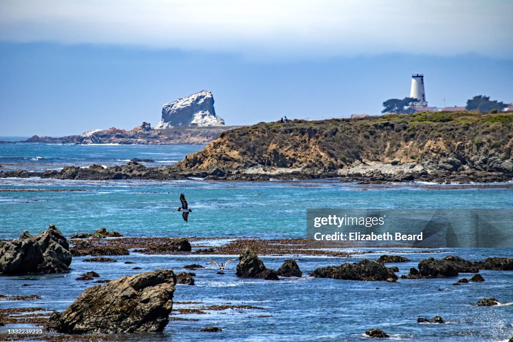 Rocky shoreline at San Simeon, California
