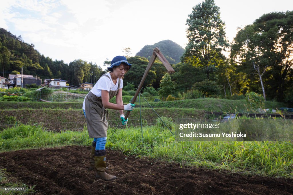 A group working on a farm in a rural environment
