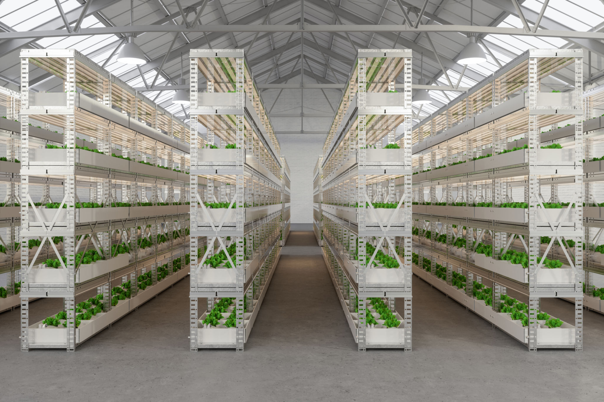 hydroponic system