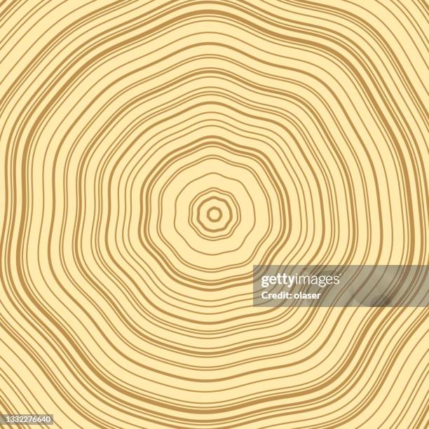 stockillustraties, clipart, cartoons en iconen met tree rings, trunk cross section - groeiring