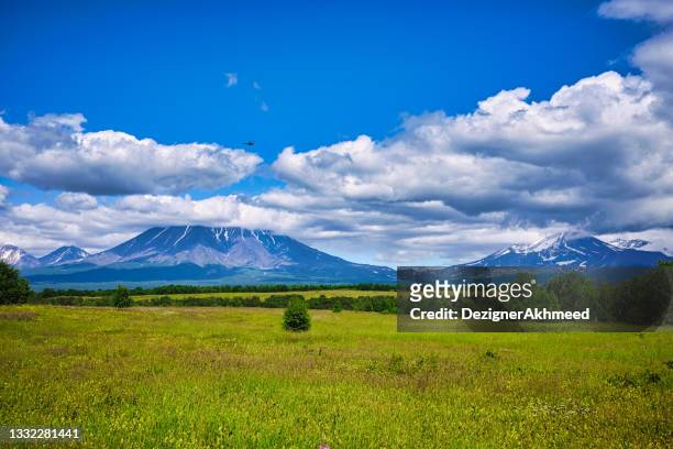 summer kamchatka landscape with volcanoes in the background - grass land stock pictures, royalty-free photos & images