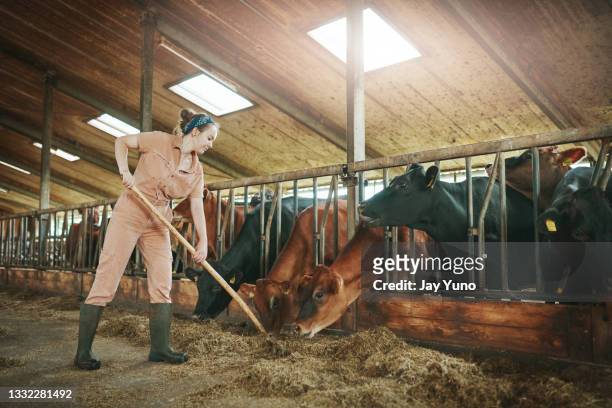 shot of a young woman cleaning in a barn on a farm - agrarisch gebouw stockfoto's en -beelden