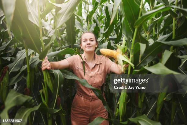 shot of a young woman picking corn in a field outside on a farm - farmer confident serious stock pictures, royalty-free photos & images